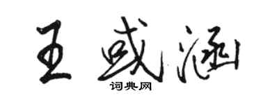 駱恆光王或涵行書個性簽名怎么寫