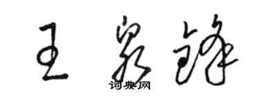 駱恆光王泉鋒草書個性簽名怎么寫