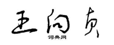 曾慶福王向貞草書個性簽名怎么寫