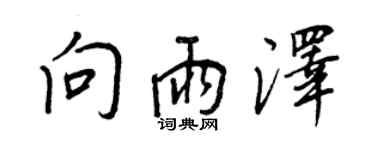 王正良向雨澤行書個性簽名怎么寫