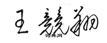 駱恆光王競翔草書個性簽名怎么寫