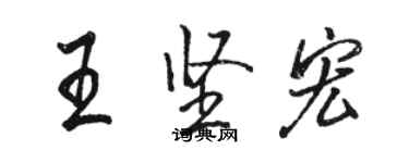 駱恆光王堅宏行書個性簽名怎么寫