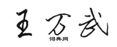 駱恆光王萬武行書個性簽名怎么寫
