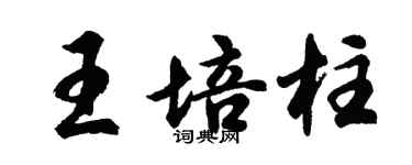 胡問遂王培柱行書個性簽名怎么寫