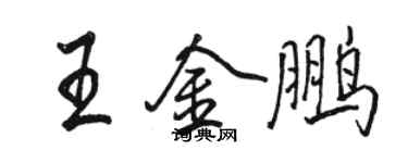 駱恆光王金鵬行書個性簽名怎么寫