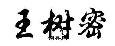 胡問遂王樹密行書個性簽名怎么寫