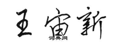 駱恆光王宙新行書個性簽名怎么寫