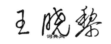 駱恆光王曉黎草書個性簽名怎么寫