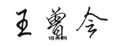 駱恆光王曾會行書個性簽名怎么寫