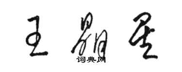 駱恆光王晶星草書個性簽名怎么寫