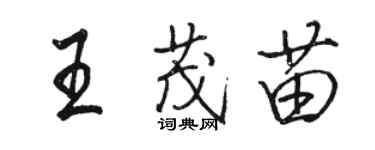 駱恆光王茂苗行書個性簽名怎么寫