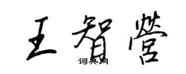 王正良王智營行書個性簽名怎么寫