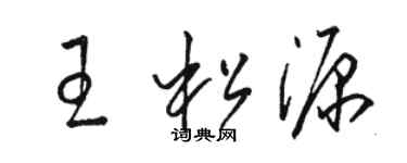 駱恆光王松源草書個性簽名怎么寫