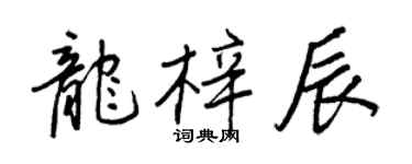 王正良龍梓辰行書個性簽名怎么寫