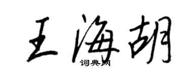 王正良王海胡行書個性簽名怎么寫