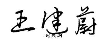 曾慶福王健蔚草書個性簽名怎么寫