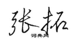 駱恆光張拓行書個性簽名怎么寫