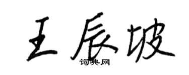 王正良王辰坡行書個性簽名怎么寫