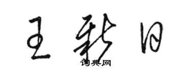 駱恆光王新日草書個性簽名怎么寫