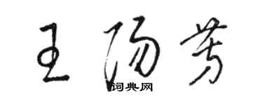 駱恆光王陽芳草書個性簽名怎么寫