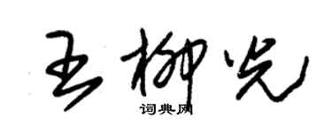 朱錫榮王柳光草書個性簽名怎么寫