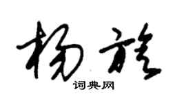 朱錫榮楊旋草書個性簽名怎么寫