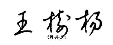 梁錦英王樹楊草書個性簽名怎么寫