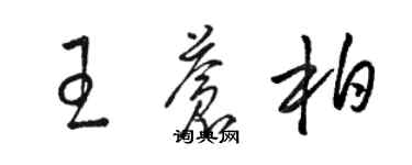 駱恆光王蒼柏草書個性簽名怎么寫