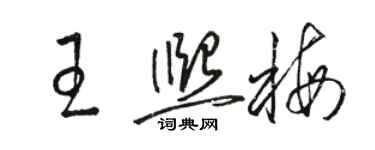 駱恆光王熙梅草書個性簽名怎么寫