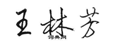 駱恆光王林芳行書個性簽名怎么寫