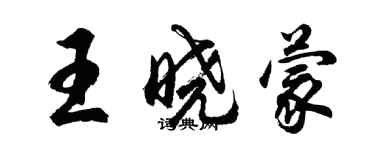 胡問遂王曉蒙行書個性簽名怎么寫