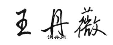 駱恆光王丹薇行書個性簽名怎么寫