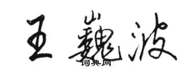 駱恆光王巍波行書個性簽名怎么寫