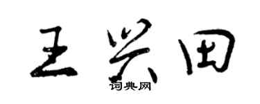 曾慶福王興田行書個性簽名怎么寫