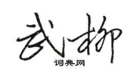 駱恆光武柳行書個性簽名怎么寫