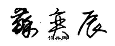 朱錫榮蘇奕辰草書個性簽名怎么寫