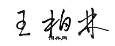 駱恆光王柏林草書個性簽名怎么寫