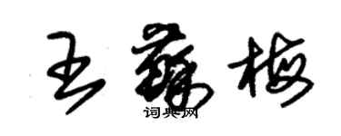 朱錫榮王蘇梅草書個性簽名怎么寫