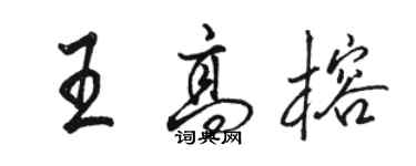 駱恆光王高榕行書個性簽名怎么寫