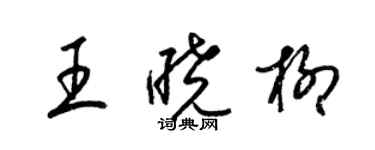 梁錦英王曉柳草書個性簽名怎么寫