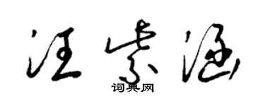 梁錦英汪紫涵草書個性簽名怎么寫