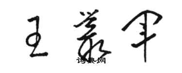 駱恆光王叢軍草書個性簽名怎么寫