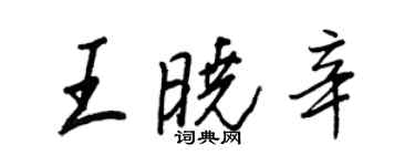 王正良王曉辛行書個性簽名怎么寫