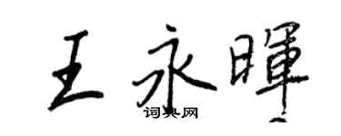 王正良王永暉行書個性簽名怎么寫