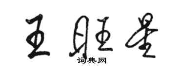 駱恆光王旺星行書個性簽名怎么寫