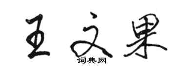 駱恆光王文果行書個性簽名怎么寫