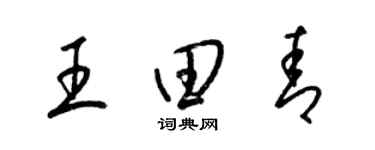 梁錦英王田青草書個性簽名怎么寫