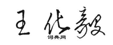 駱恆光王化毅草書個性簽名怎么寫