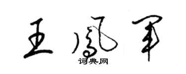 梁錦英王鳳軍草書個性簽名怎么寫