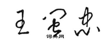 駱恆光王閩忠草書個性簽名怎么寫